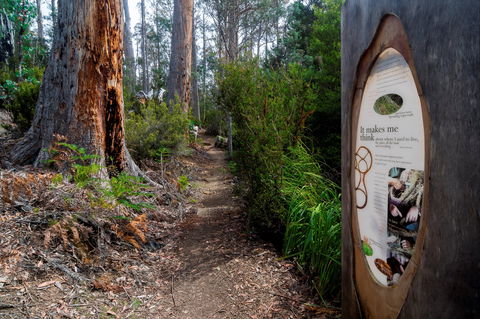 Lake St Clair (Cradle Mountain  - Lake St Clair National Park) - Accommodation Adelaide 2