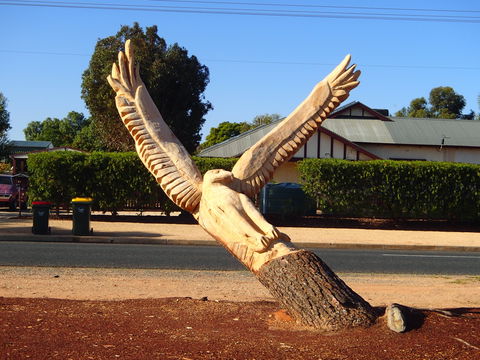 Loxton Tree Sculptures - Accommodation Adelaide 0