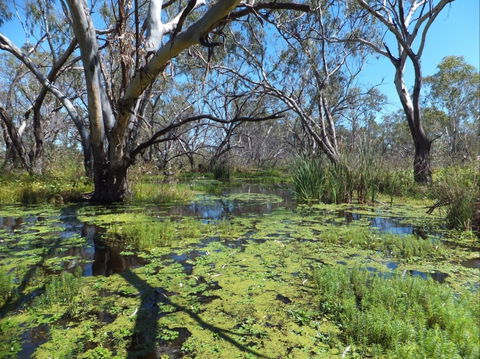 Macquarie Valley Trails - Accommodation Adelaide 0