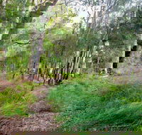 Meroo Lake walking track - Accommodation Adelaide