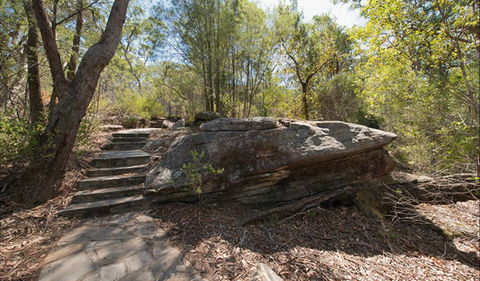 Mooney Mooney Nature Walk - Accommodation Adelaide 0
