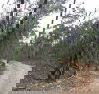 Paddys Ranges State Park - Accommodation Adelaide