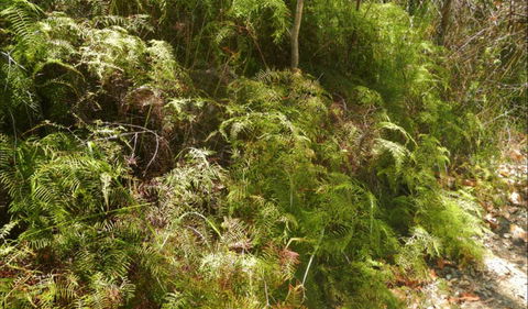 Powder Magazine Walking Track - Accommodation Adelaide 0