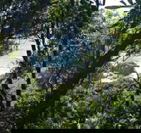 Rainforest Walking Track Hat Head National Park - Accommodation Adelaide