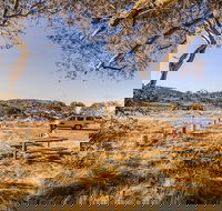 Rennix walking track - Accommodation Adelaide