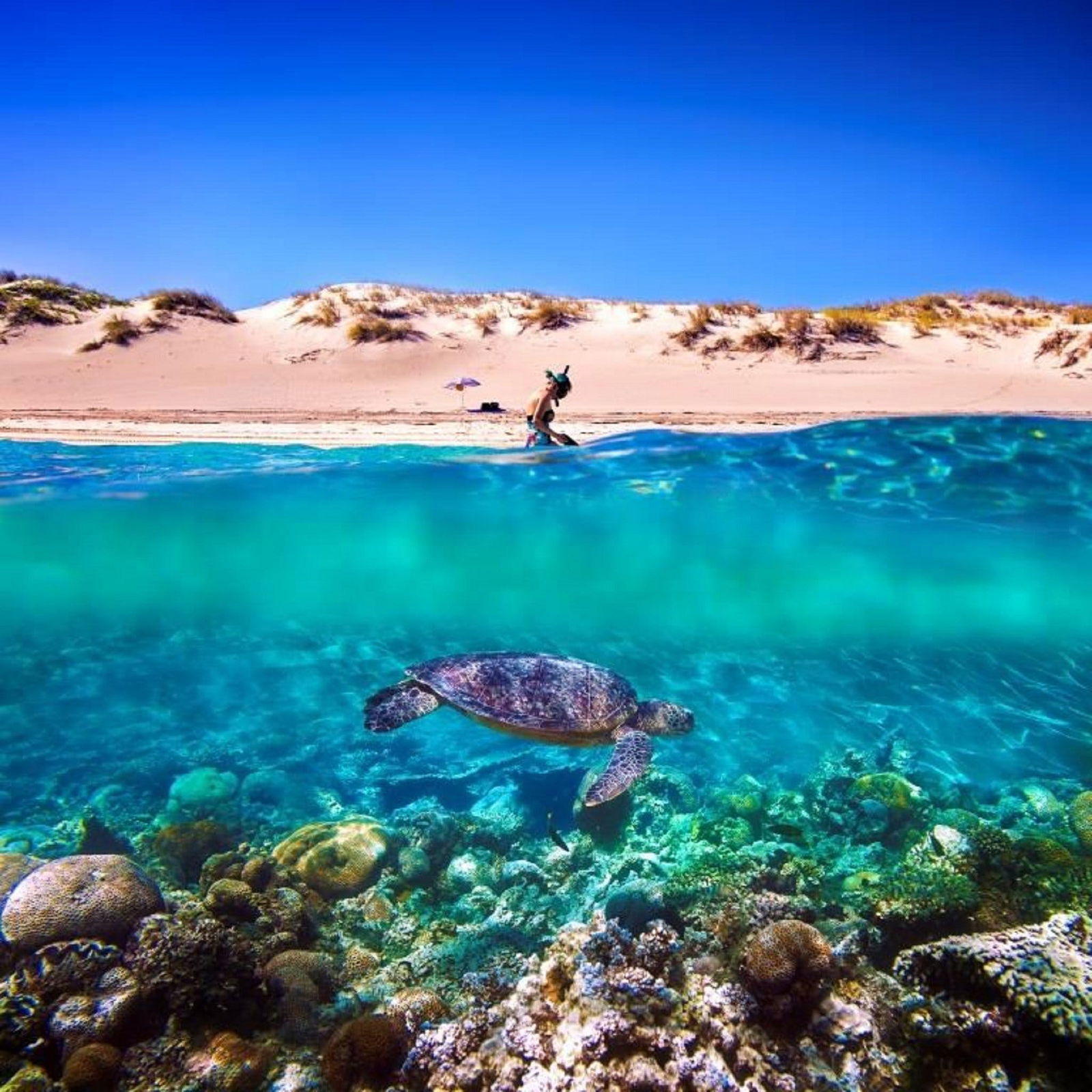 Cape Range National Park WA Accommodation Adelaide