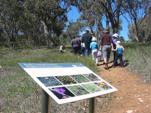 South Gundagai Woodlands Walk - Accommodation Adelaide 0