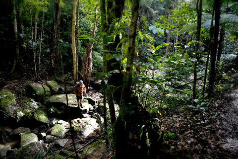 Strickland State Forest - Accommodation Adelaide 0