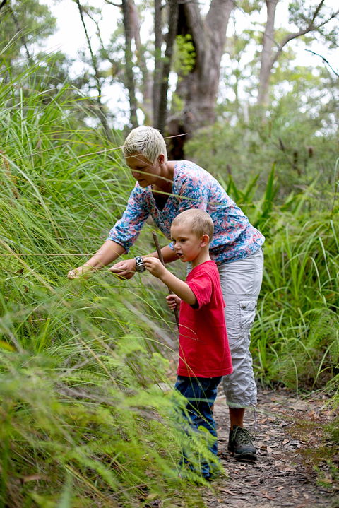 Strickland State Forest - Accommodation Adelaide 2