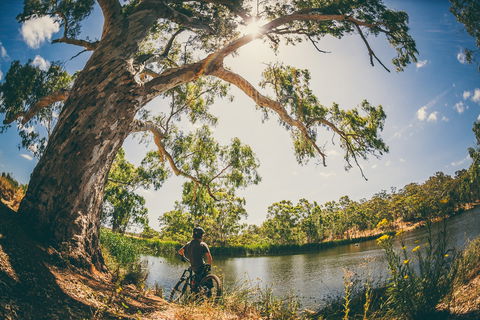 Sturt Gorge Recreation Park - Accommodation Adelaide 0