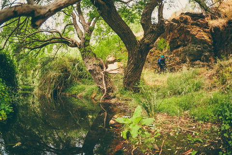Sturt Gorge Recreation Park - Accommodation Adelaide 1