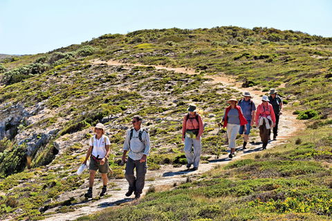 The Sole Walk At Hillocks Drive - Accommodation Adelaide 0
