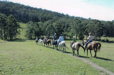 Timbertops - Horse Riding - Accommodation Adelaide 0