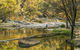 Warrabah National Park - thumb 0