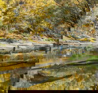 Warrabah National Park - Accommodation Adelaide