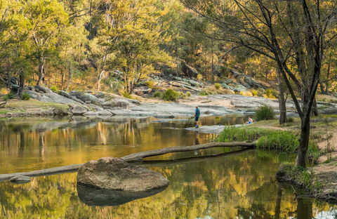 Warrabah National Park - Accommodation Adelaide 0