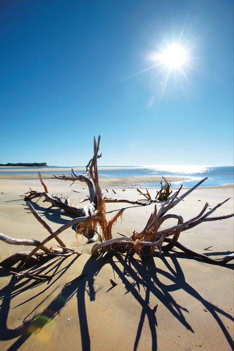 Woodgate Beach Park And Playground - Accommodation Adelaide 1