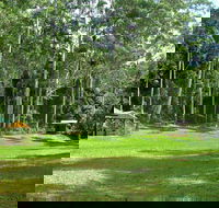Woolgoolga Creek Picnic Area - Accommodation Adelaide