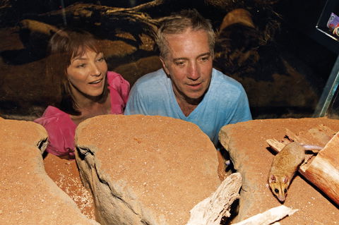 At The Creek Visitor Information Centre - Accommodation Adelaide 0