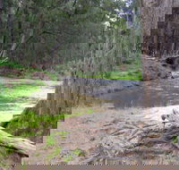 Bangadilly National Park - Accommodation Adelaide