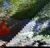 Booloumba Falls Walk Conondale National Park - Accommodation Adelaide