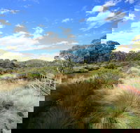 Bullocks walking track - Accommodation Adelaide