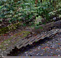 Coombadjha Nature Stroll - Accommodation Adelaide