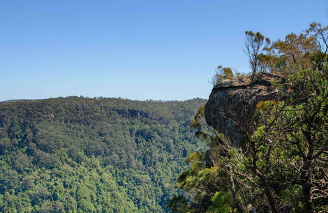 Cooks Nose Walking Track - Accommodation Adelaide 0