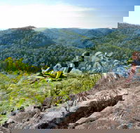 Dubbo Gully Loop Trail - Accommodation Adelaide