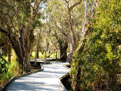 Eagleby Wetlands - Accommodation Adelaide 1