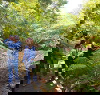 Endeavour Fern Gully Walks - Accommodation Adelaide