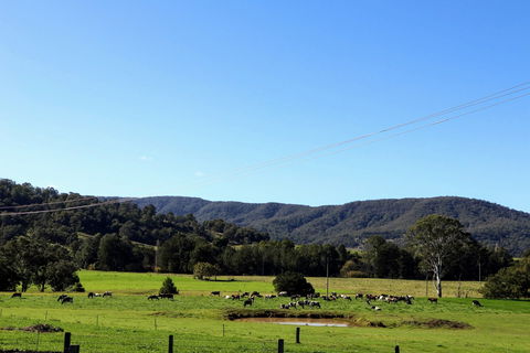Farm Visit  Dungog - Accommodation Adelaide 1