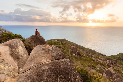 Fitzroy Island National Park - Accommodation Adelaide 1