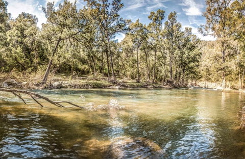 Flea Creek Picnic Area - Accommodation Adelaide 0
