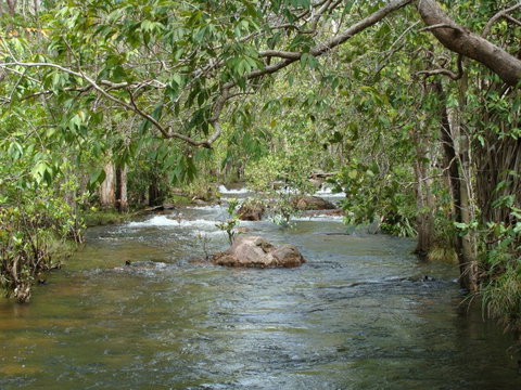 Florence Creek Walk - Accommodation Adelaide 0