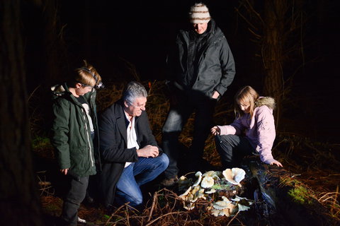 Ghost Mushroom Lane - Accommodation Adelaide 2