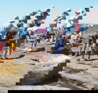 Gondwana Coast Fossil Walk - Accommodation Adelaide