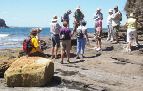 Gondwana Coast Fossil Walk - Accommodation Adelaide 0