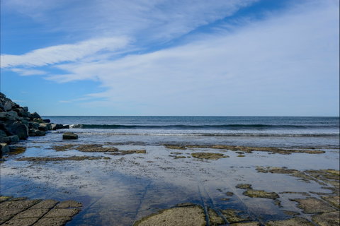 Gondwana Coast Fossil Walk - Accommodation Adelaide 1
