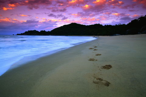 Hinchinbrook Island National Park - Accommodation Adelaide 2