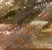 Kholo Gardens Trails - Accommodation Adelaide