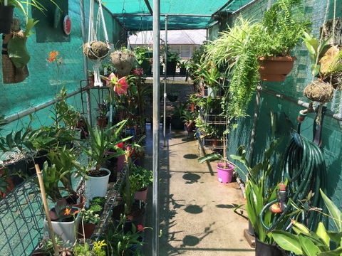 Kilcoy Craft Market - Accommodation Adelaide 1