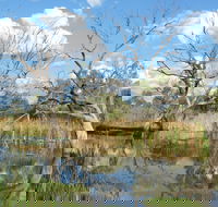 Lagoon Creek - Accommodation Adelaide