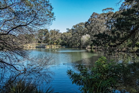 Lake Alexandra Reserve - Accommodation Adelaide 1