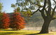 Lake Alexandra Reserve - thumb 2