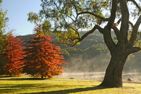 Lake Alexandra Reserve - Accommodation Adelaide 2