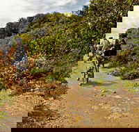 Mountain Biking Trails - Accommodation Adelaide