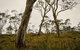 Mountaineer-Glowang Trail - thumb 0