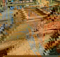 Mountain Maid gold mine - Accommodation Adelaide
