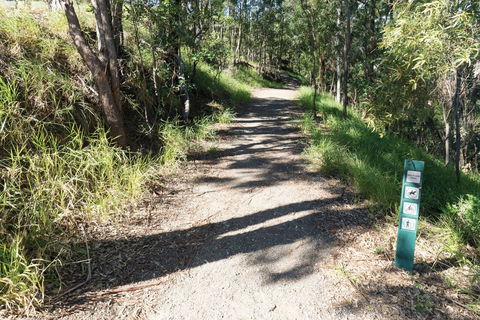 Mt Coot-tha Tourist Drive - Accommodation Adelaide 2